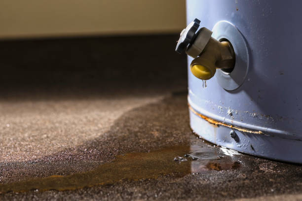 Best Water damage restoration near me  in Carencro, LA