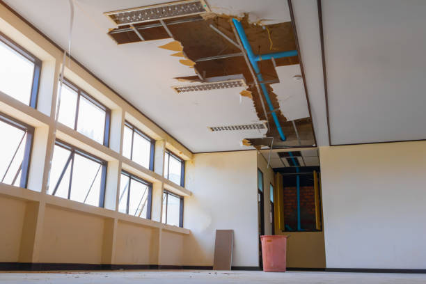 Best Water damage mitigation services  in Carencro, LA
