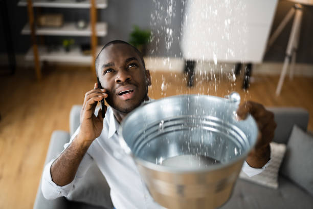 Best Water damage restoration services  in Carencro, LA