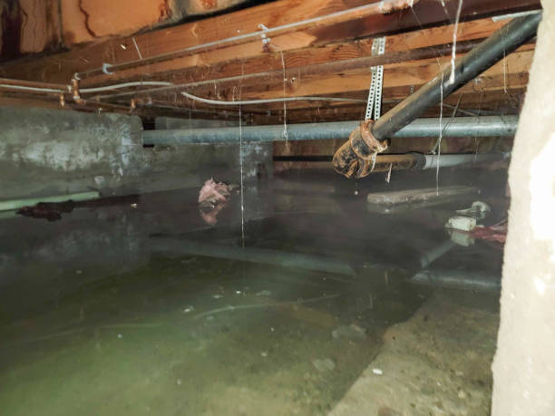 Best 24-hour water damage restoration  in Carencro, LA