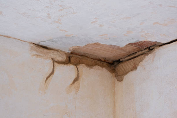 Best 24/7 water damage repair  in Carencro, LA