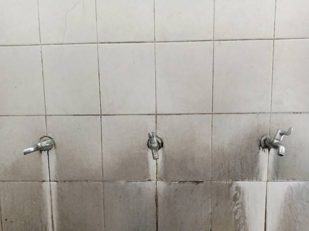 Best Emergency water damage restoration  in Carencro, LA