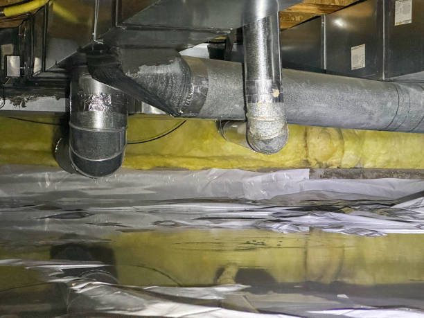 Best Mold removal after water damage  in Carencro, LA