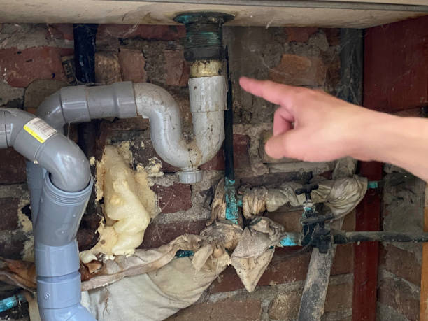 Best Water damage contractors near me  in Carencro, LA