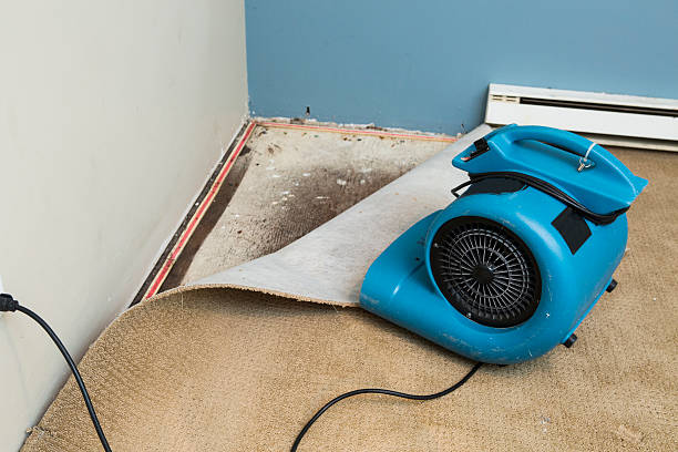 Best Commercial water damage restoration  in Carencro, LA